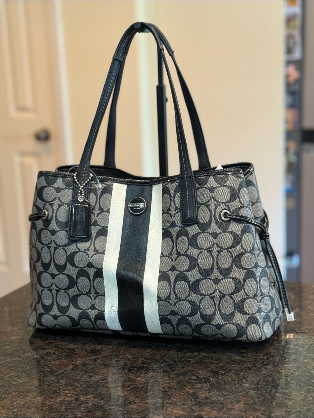 Coach Gray and Black Signature Stripe Tote